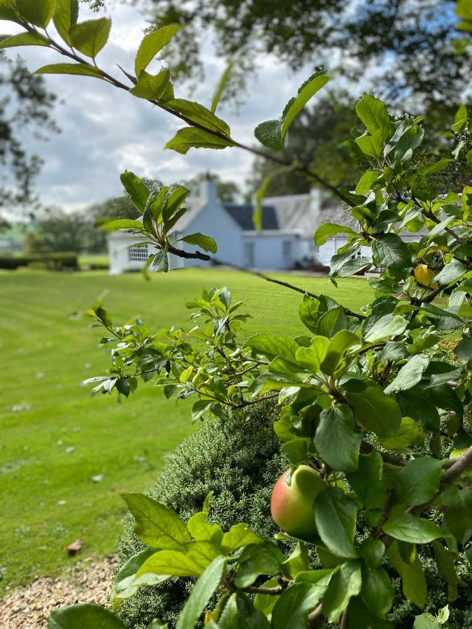 South Craighall B&B Eaglesham Kültér fotó