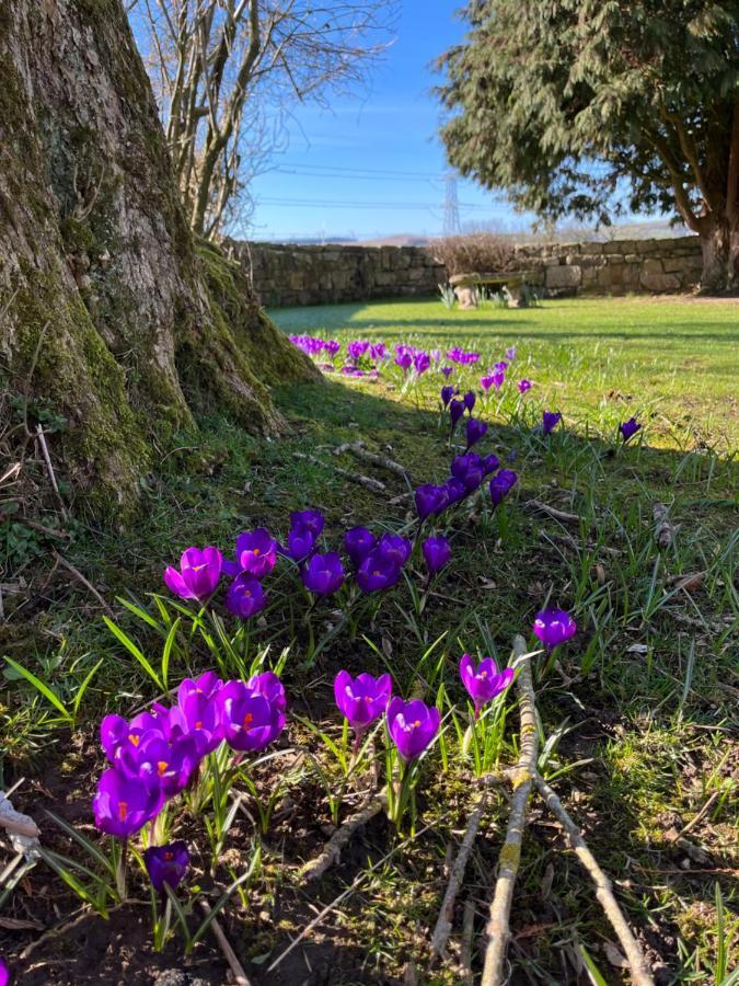 South Craighall B&B Eaglesham Kültér fotó