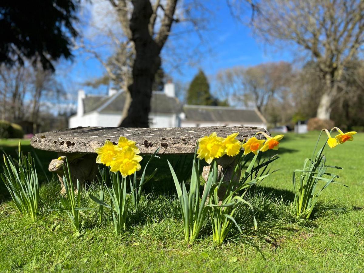 South Craighall B&B Eaglesham Kültér fotó